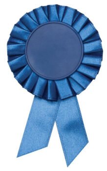 Rosette Pin Blue 2" Holder