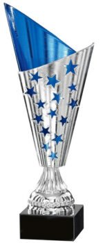 Gold and Silver Metal Cup