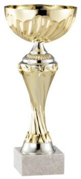 Gold Award Cup