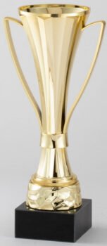 Gold Cup with Black  Marble Base