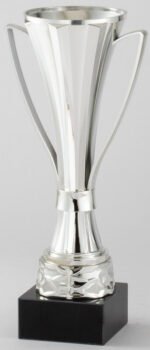 Silver Cup with Black Marble Base