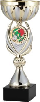 Gold and Silver Cup on Genuine Black Marble Base