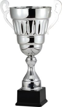 Silver Cup on Elegant Black Synthetic Base