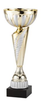 Silver/Gold Affinity Cup