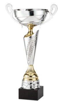 Silver/Gold Assembled Cup