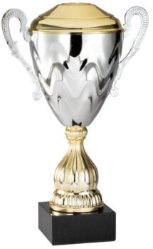 Gold and Silver Award Cup