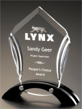 Ascent Acrylic Black