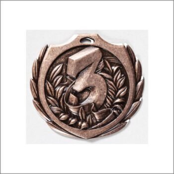 Burst Medal - 3rd Place