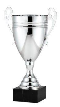 Silver Italian Cup