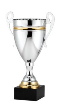 Silver with Gold Italian Cup