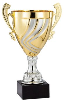 Gold Metal Silver Swirl Cup