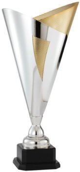 Silver  and Gold Award Cup
