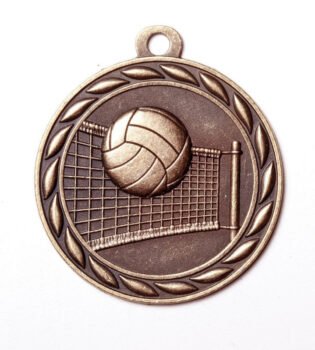 Scholastic Medal - Volleyball