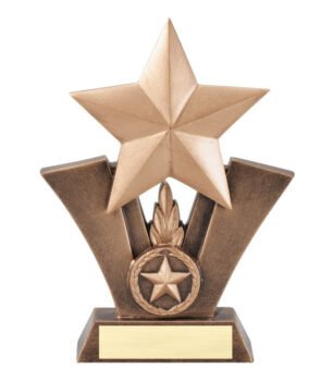 Star Award