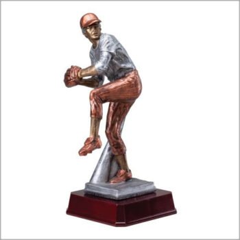 Baseball Pitcher, Male  Award