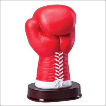 Boxing Glove Award