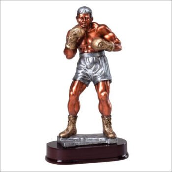 Boxer, Male Award