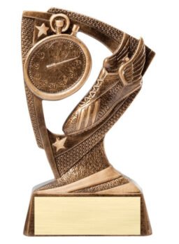 Stars Resin Award -Track