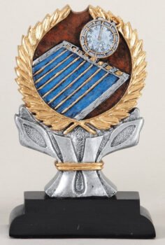 Impact Series -Swimming