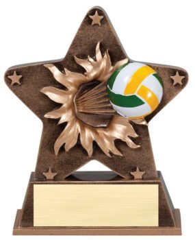 Star Burst Resin -Volleyball