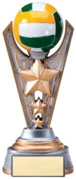 Full Color Award -Volleyball