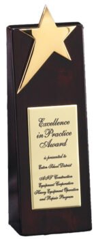 Tower With Shooting Star