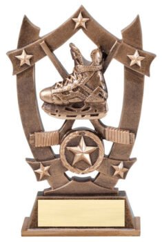 3D Sport Stars -Hockey