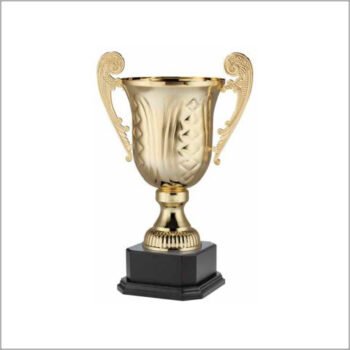 Cast Awards