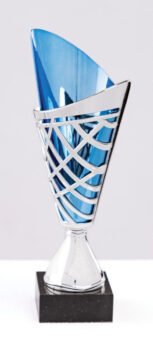 Cup Trophy Awards